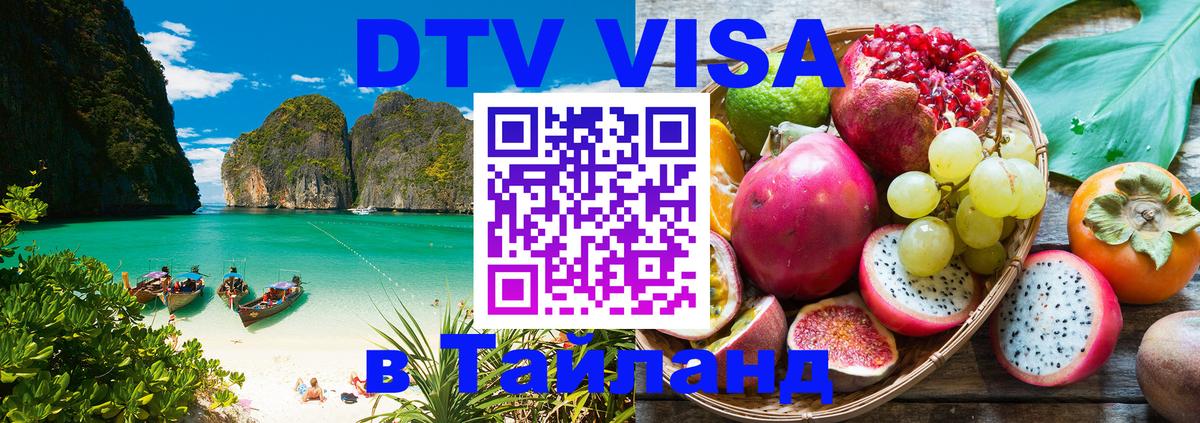 Оформление DTV визы под ключ: стоимость и тарифы, только загранпаспорт - Мурино 